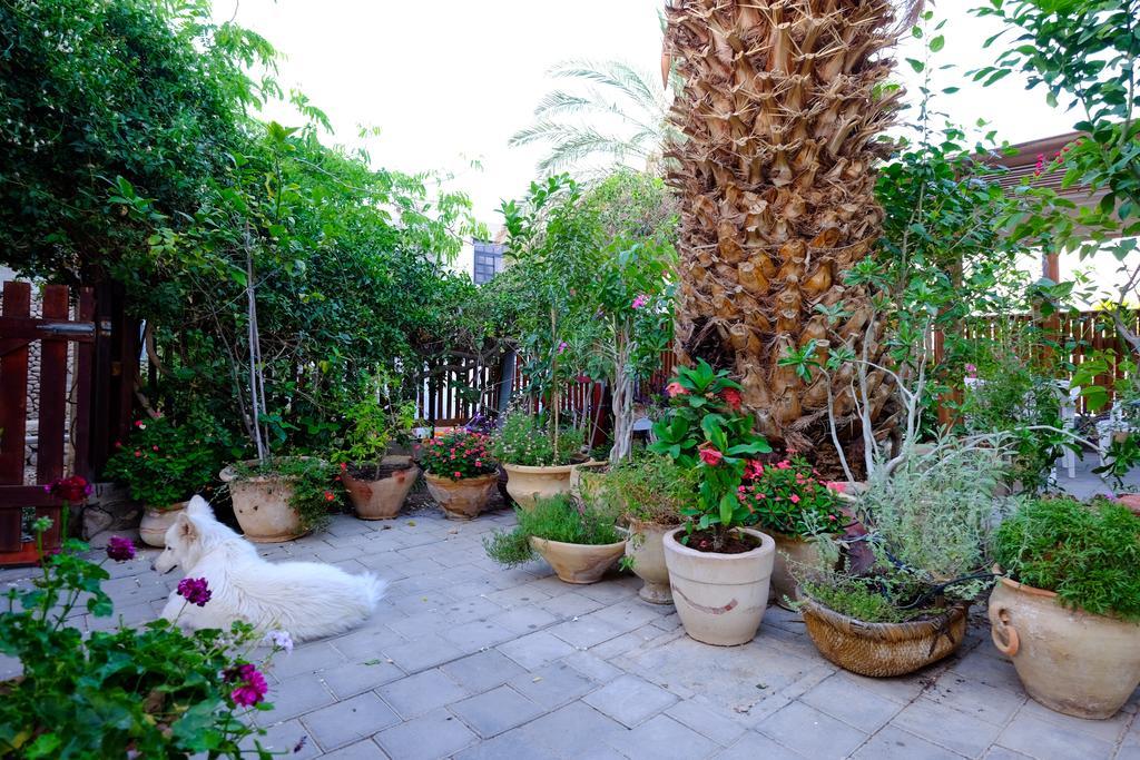 Gil'S Guest Rooms Neve Zohar Bagian luar foto