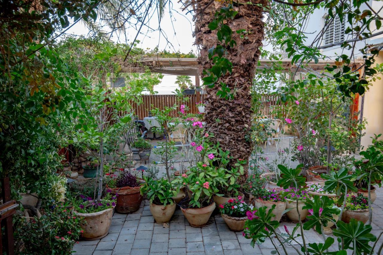 Gil'S Guest Rooms Neve Zohar Bagian luar foto